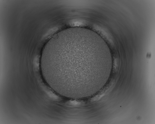 X0000101430545200807141244
