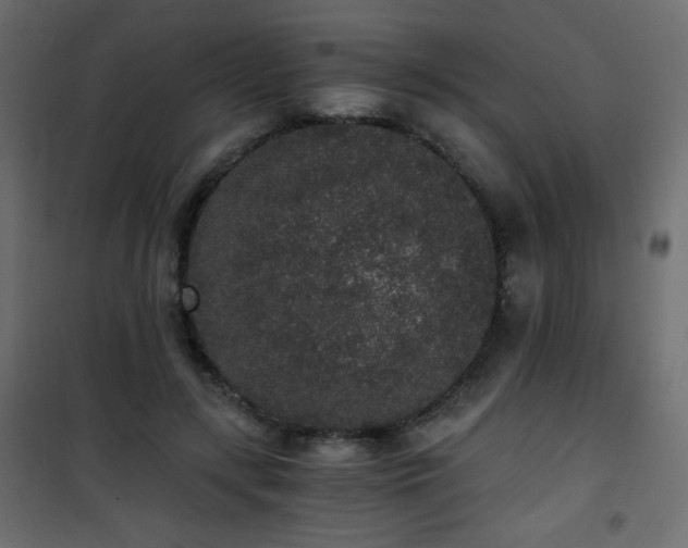 X0000101430547200807141244