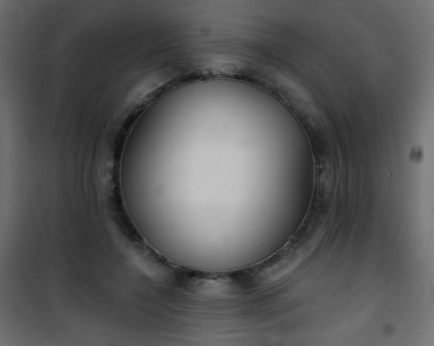 X0000101430548200807141244