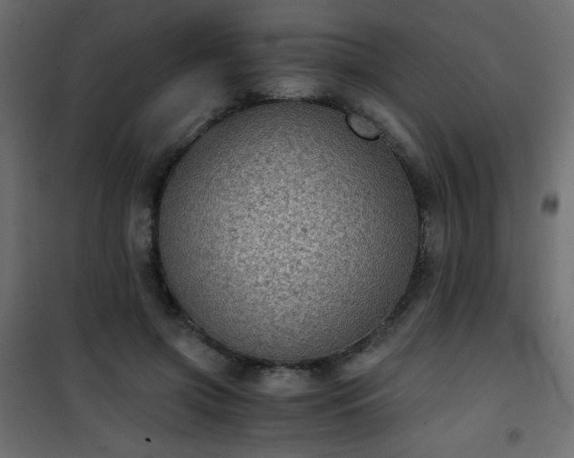 X0000101430549200807141244