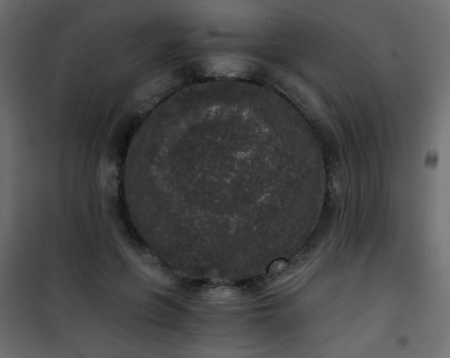 X0000101430551200807141244
