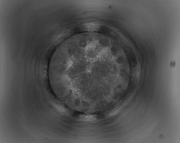 X0000101430553200807141244