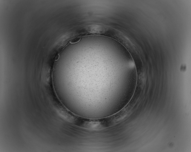 X0000101430554200807141244