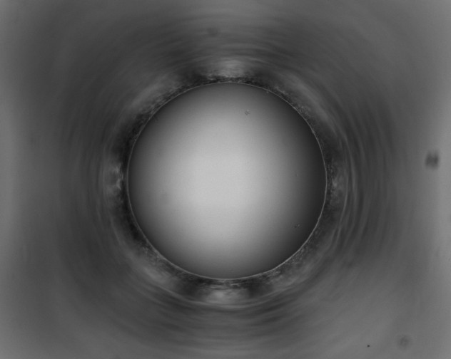 X0000101430555200807141244