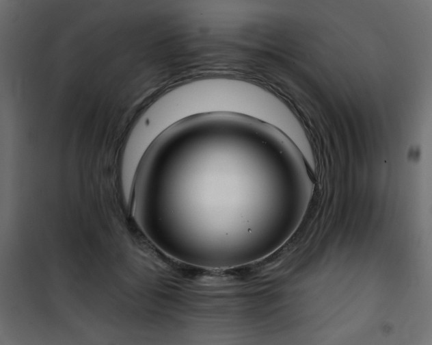 X0000101430556200807141244