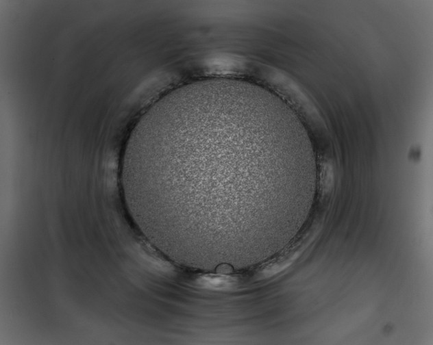 X0000101430557200807141244