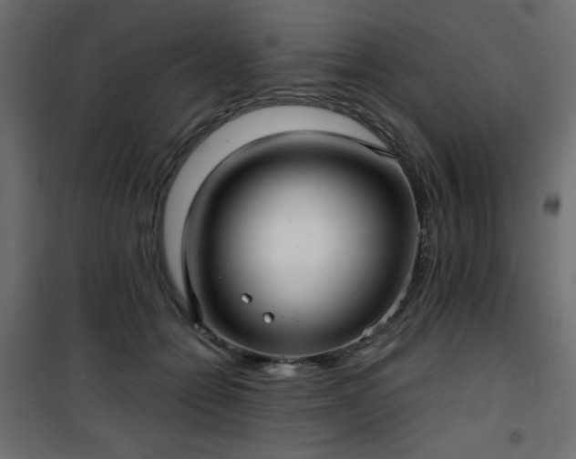 X0000101430558200807141244