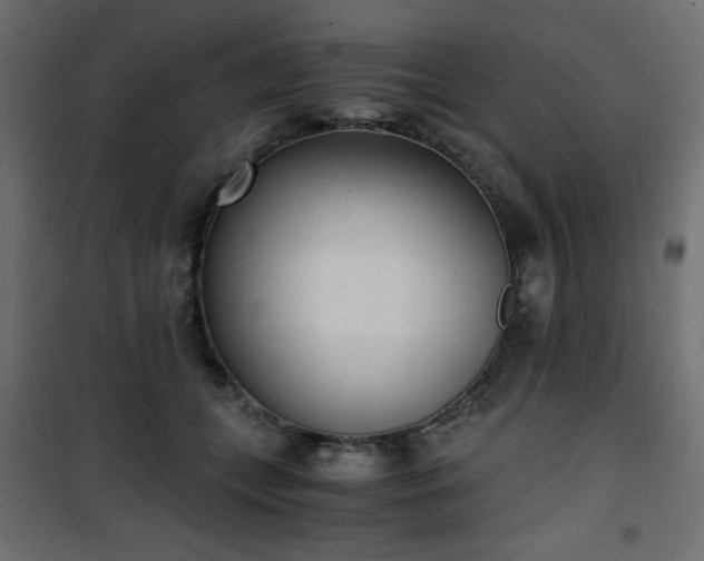 X0000101430559200807141244