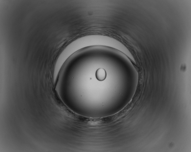 X0000101430560200807141244