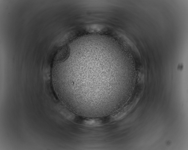 X0000101430561200807141244