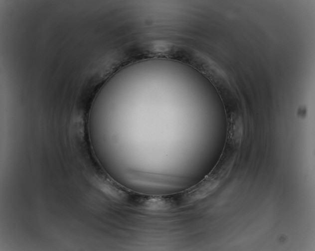 X0000101430562200807141244