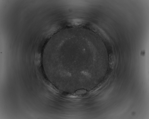 X0000101430563200807141244