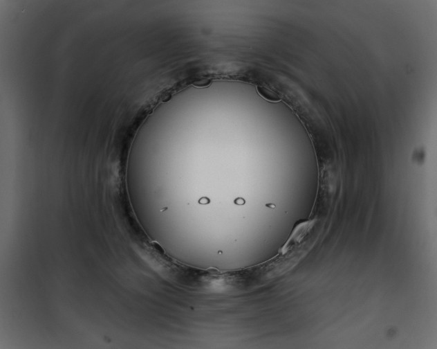 X0000101430564200807141244