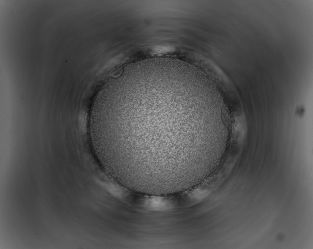 X0000101430565200807141244