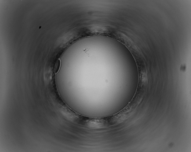 X0000101430567200807141244