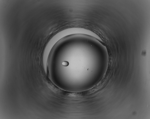X0000101430568200807141245