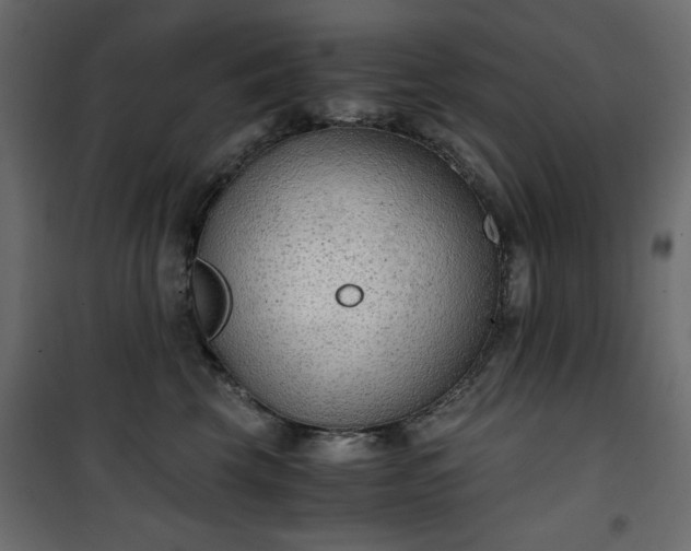 X0000101430569200807141245