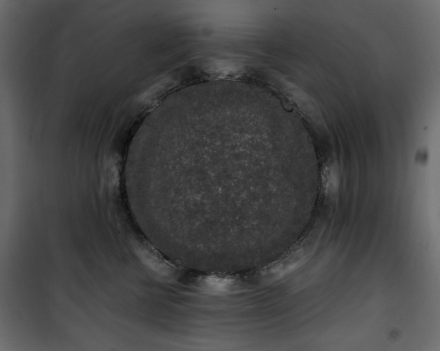 X0000101430570200807141245