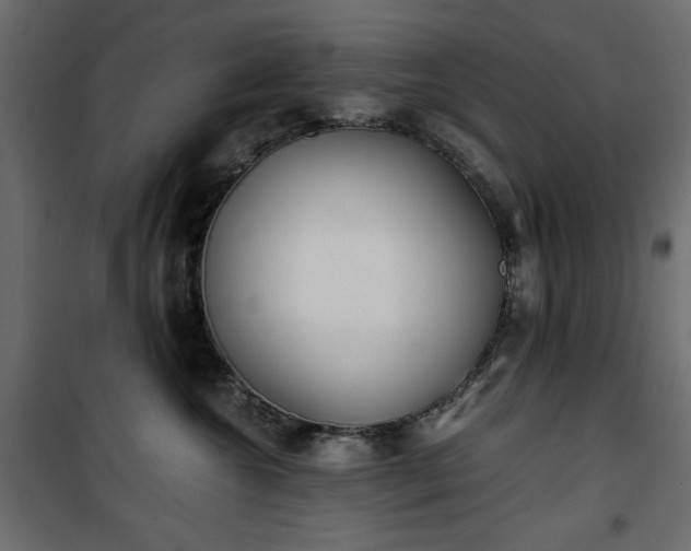 X0000101430572200807141245