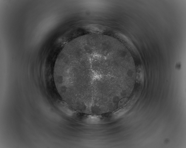 X0000101430573200807141245