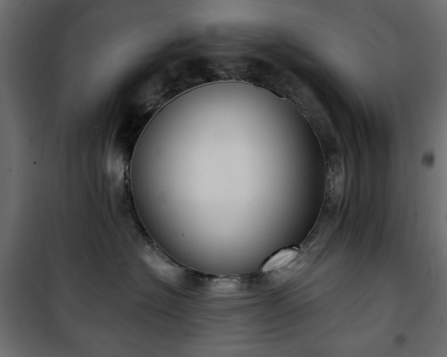 X0000101430574200807141245