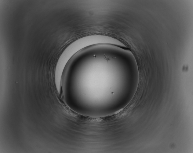 X0000101430576200807141245