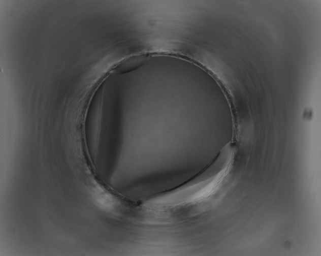 X0000101430577200807141244