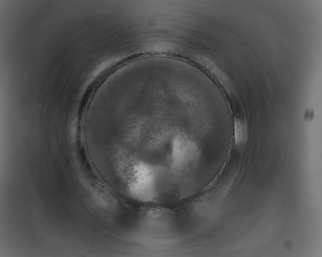 X0000101430579200807141244