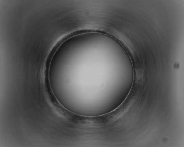 X0000101430580200807141244