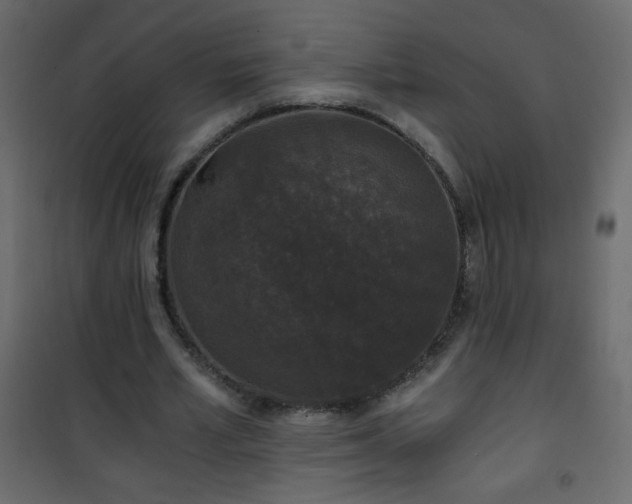 X0000101430581200807141244