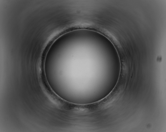 X0000101430582200807141244
