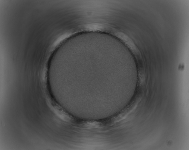 X0000101430583200807141244