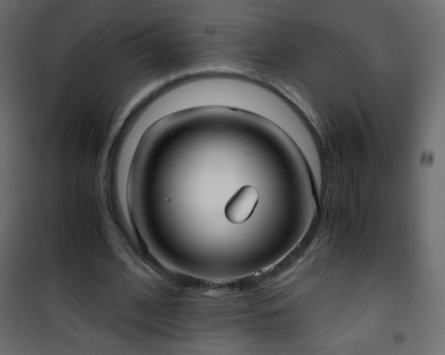 X0000101430584200807141244