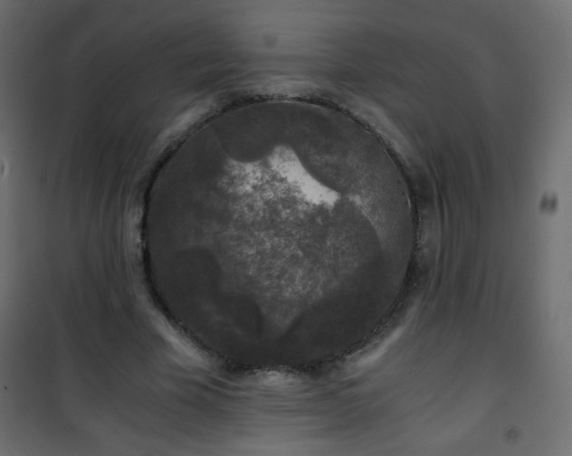 X0000101430585200807141244