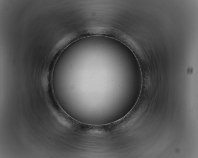 X0000101430586200807141243