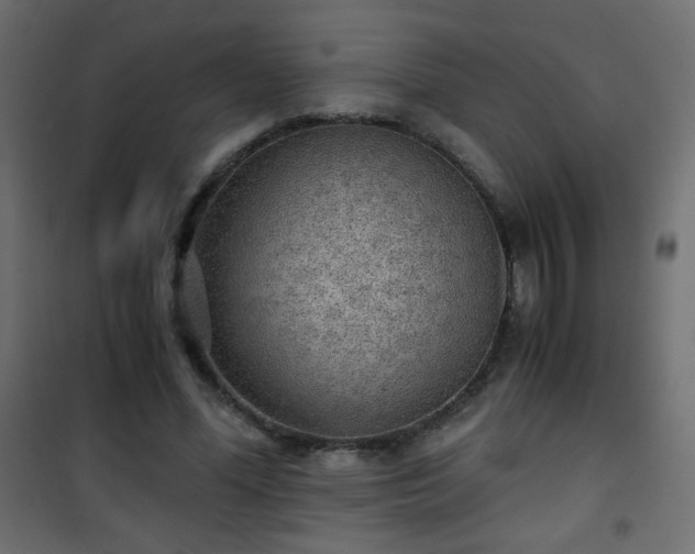 X0000101430588200807141243