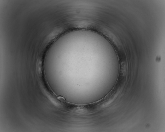 X0000101430589200807141243