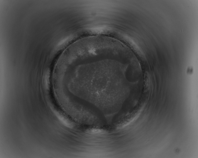 X0000101430590200807141243