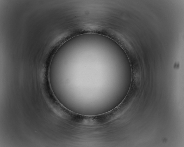 X0000101430591200807141243