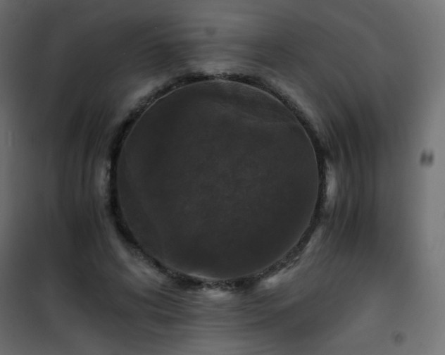 X0000101430592200807141243