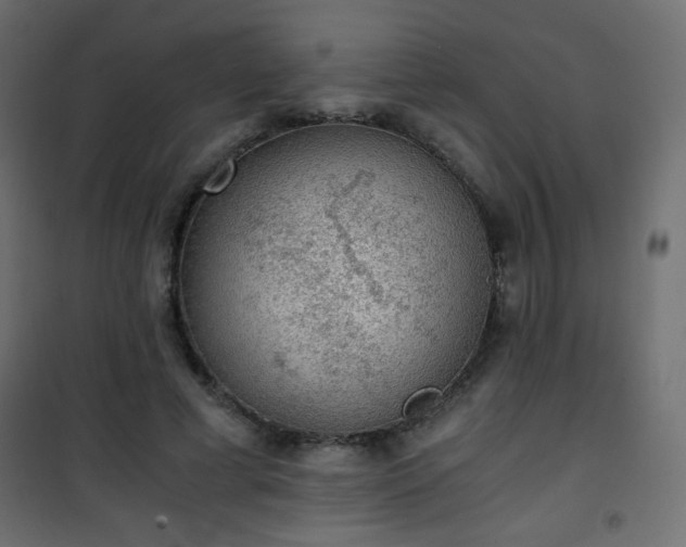 X0000101430593200807141243