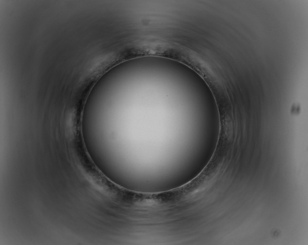 X0000101430594200807141243