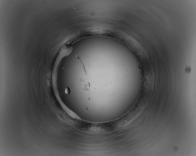 X0000101430596200807141243