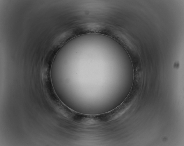 X0000101430597200807141243