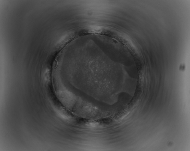 X0000101430598200807141243