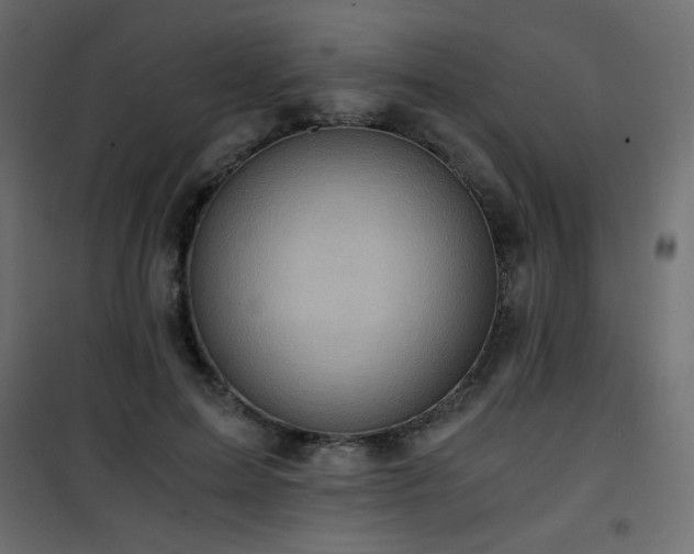 X0000101430599200807141243