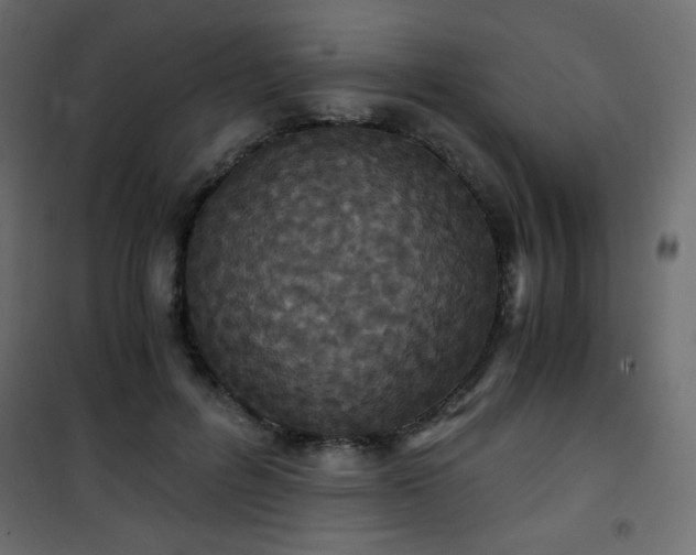 X0000101430600200807141243
