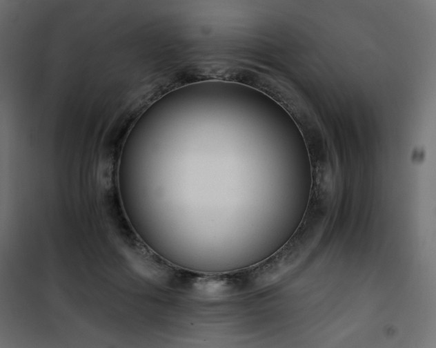 X0000101430602200807141243