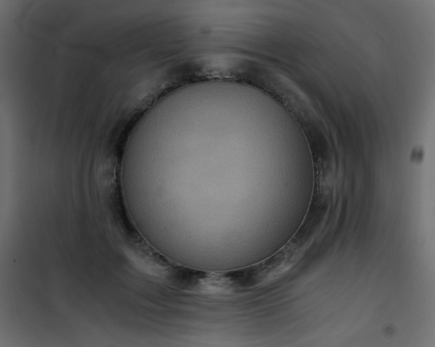 X0000101430603200807141243