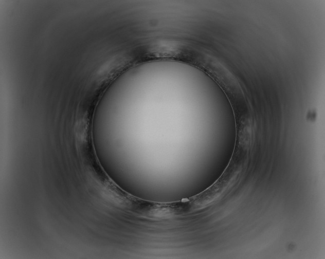 X0000101430604200807141243